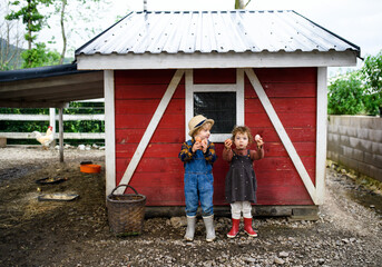 Portrait of small children standing on farm, holding eggs. © Halfpoint