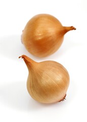 Fototapeta premium French Onion called Grelot, allium cepa, Vegetables against White Background