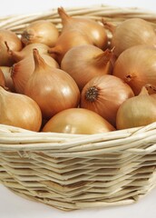 French Onion called Grelot, allium cepa, Vegetables in Basket