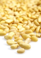 Pine Kernel or Pine Nut, pinus sp, Nuts against White Background