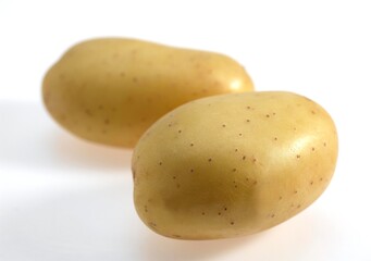 Mona Lisa Potato, Solanum tuberosum, Vegetables against White Background