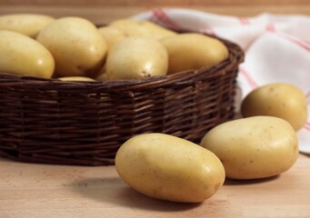 Mona Lisa Potato, Solanum tuberosum, Vegetables in Basket
