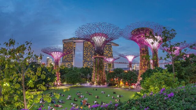 Futuristic aerial view of amazing illumination at Garden by the Bay day to night transition timelapse in Singapore after sunset. Green lawn with viewers. Night light show at Supertree Groveis is main