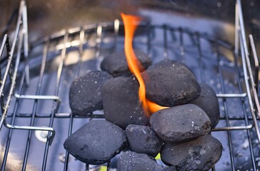 Grill Kohle 