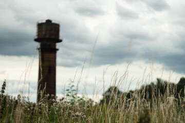 Water tower behind the meadow