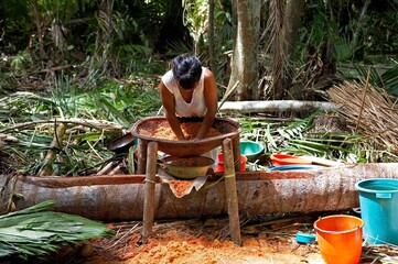 Warao Woman doing Bread with Flour made from Palmtree, mauritia flexulosa, Indians living in...
