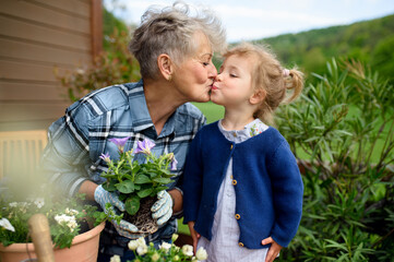 Senior grandmother with small granddaughter gardening on balcony in summer.