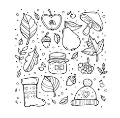 Autumn pattern. Harvest. Fruit, berries, leaves, flowers, mushroom. Happy thanksgiving day. Set collection. Vector artwork. Black and white, monochrome. Coloring book page. Banner, print. Doodle icons