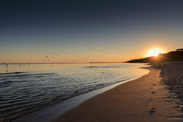 lecące ptaki w Kołobrzegu na plaży zachodniej o wschodzie