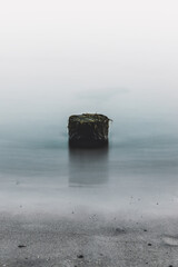 pień na plaży w kołobrzegu  © mateusz
