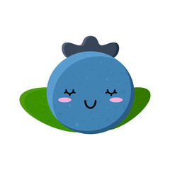 Cute blueberry with leaves. Vector illustration.