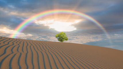 Beautiful desert landscape with lone tree and rainbow, sand dune in the foreground