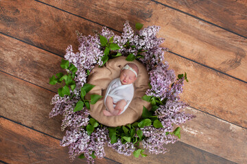 Newborn photography digital backdrop. Wicker basket with lilac wreath on wooden background. 