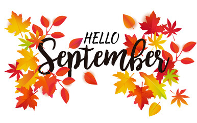 Hello September autumn vector. Beautiful fall leaves and black lettering isolated on white background. © Carla Nichiata