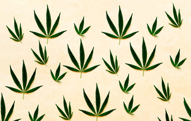Fototapeta premium Pattern from hemp leaves on old paper background. Creative space for design.