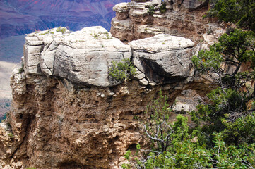 Fototapeta premium The South rim of the Grand Canyon