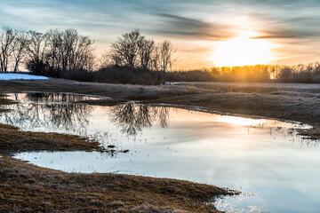 Flooded trees and frozen water in the floodplain of the river at the thaws.