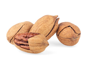 Pecan nuts isolated on a white background. Carya illinoinensis.