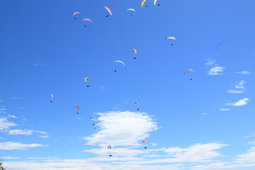 a group of paratroopers fly paragliding over the Italian Alps