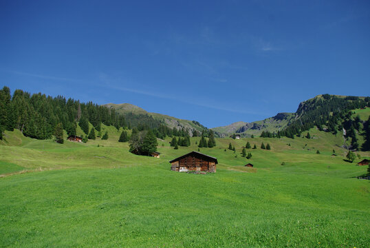 Mountains valley with barns on the way to First sumit (Grindelwald).   (Jungfrau region, Bern, Switzerland)