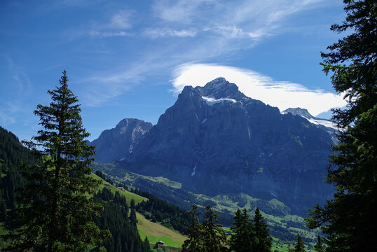 Sunny day view to the mountains vally and Mittelhorn and Mattenberg summit from First (Grindelwald)  (Jungfrau region, Bern, Switzerland)