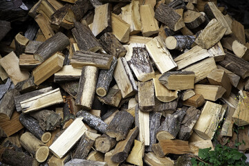 Felled wooden logs