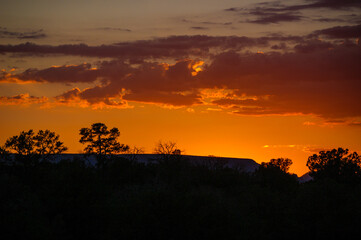 Golden Sunset over the desert