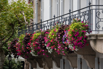 Fototapeta na wymiar flowers on a balcony