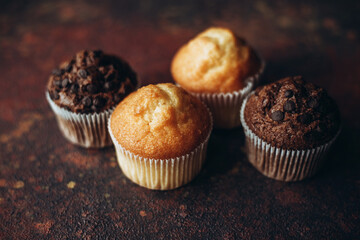 Beautiful vanilla and chocolate muffins with pieces of chocolate on dark background with place for text and shadow