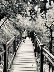 stairway to heaven