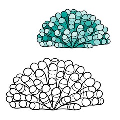 Anemones green coloring book linear drawing isolated on white background