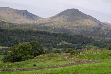 The view across to the Old Man of Coniston fell in the english Lake District. The photo is taken from 
Torver Common.