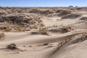 Fototapeta na wymiar Sand dunes in Barents Sea coastal area, Russia
