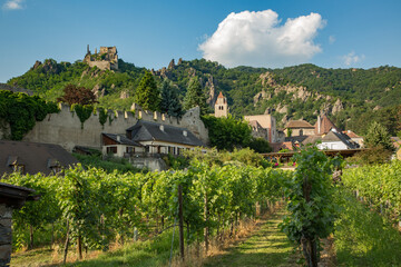 Fototapeta na wymiar Kuenringer Castle above a vineyard in Duernstein, Austria