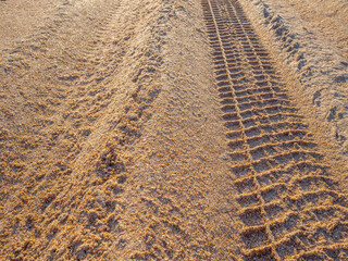 tire tread print on the wet yellow sand. natural background, copy space
