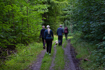 Group of people with a dog go for a walk in the dark wood.