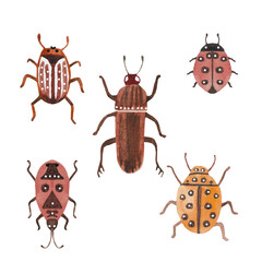 insects, beetles in decorative watercolor style