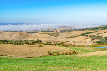 Fototapeta premium Beautiful foggy landscape in Tuscany - wave hills, green grass and morning fog