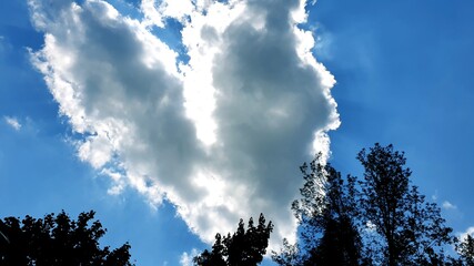 heart © Bartek