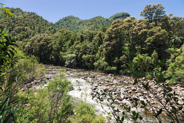 Kauaeranga River in New Zealand