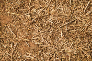 dried branches on the ground, texture