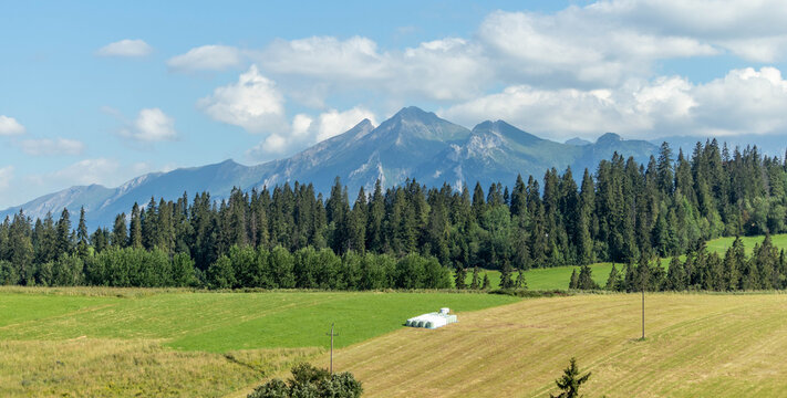 Havran landscape