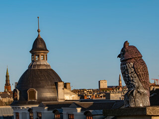 N&oslash;rrebro tage og ugle
