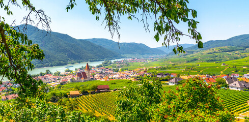 Sunny day in Wachau Valley. Landscape of vineyards and Danube River at Weissenkirchen, Austria