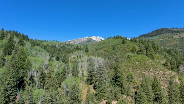 Aerial view from the snow-capped peak to the floor of a rugged box canyon far below the forested landscape