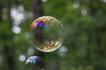 Colored soap bubble on green background