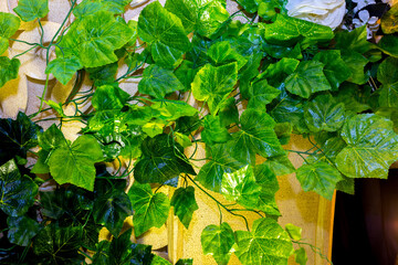 Plastic green leaf decorated wedding decor background. wedding decoration. Plastic colorful decorative leaves.