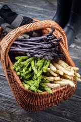 Fresh raw white, green and purple asparagus offered as close-up in a rustic basket