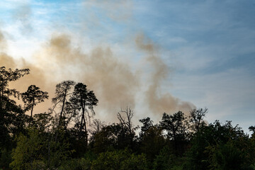 Rauchentwicklung bei einem Waldbrand