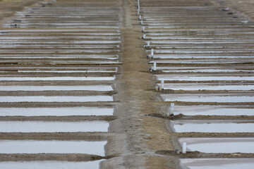 marais salants de l'atlantique